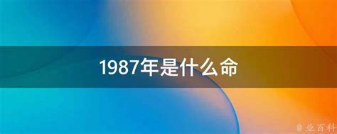 1987年是什么年